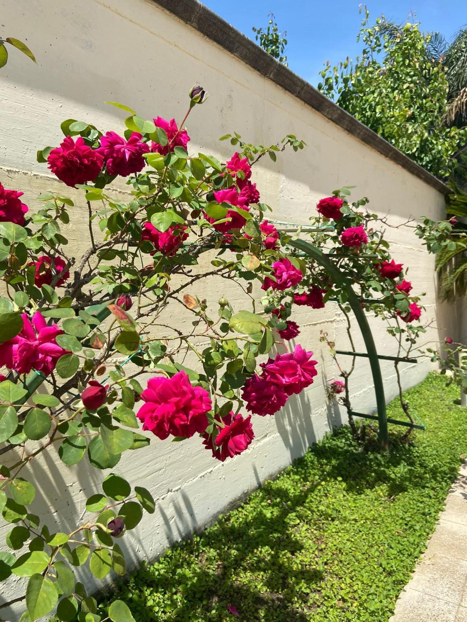 Hotel Ginevra Poggiomarino Екстериор снимка